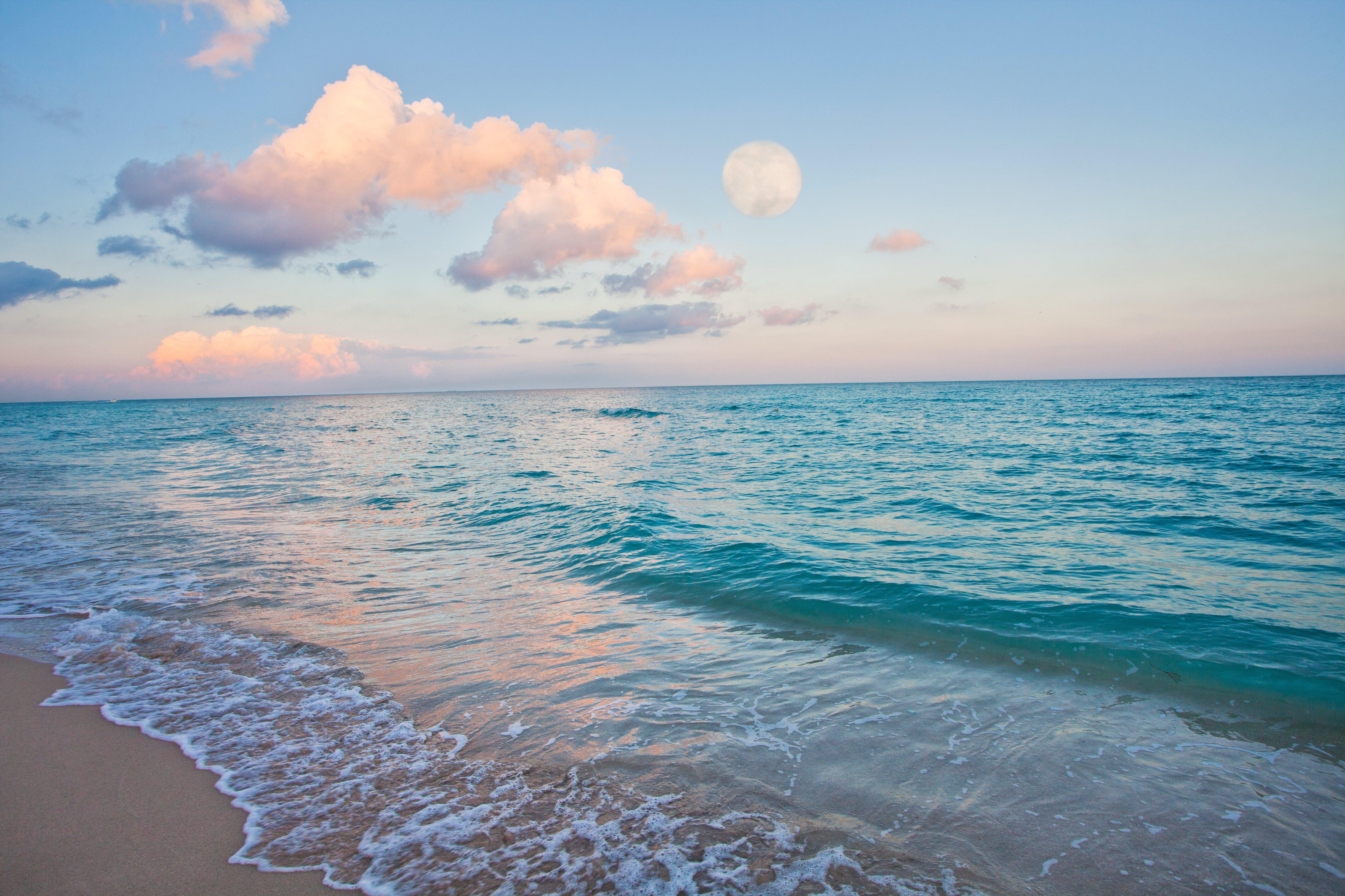 Holiday Inn Miami Beach-Oceanfront, An Ihg Hotel Exteriör bild